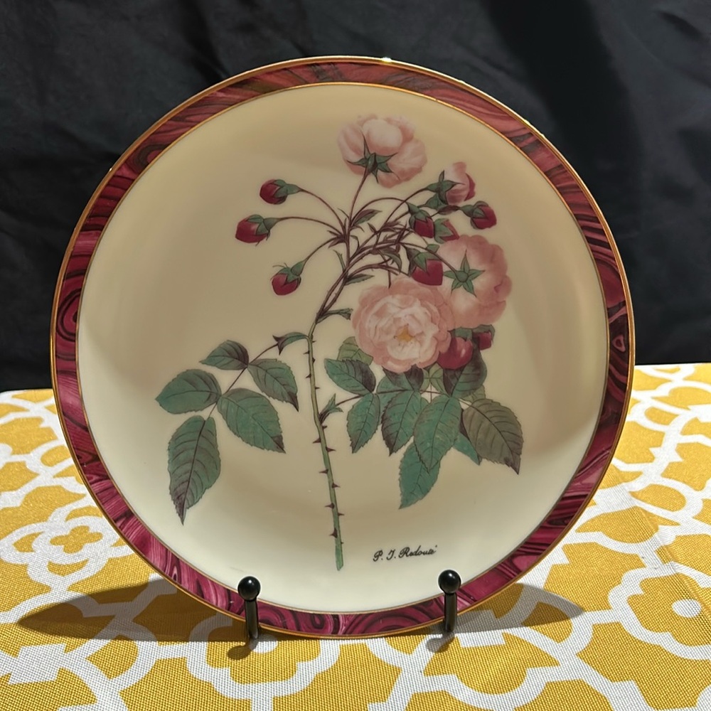 Darby Mint. Charming Grace by Pierre Redoute. Redoute Roses. No flaws.